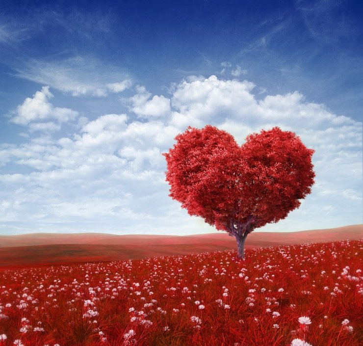 amour.jpg