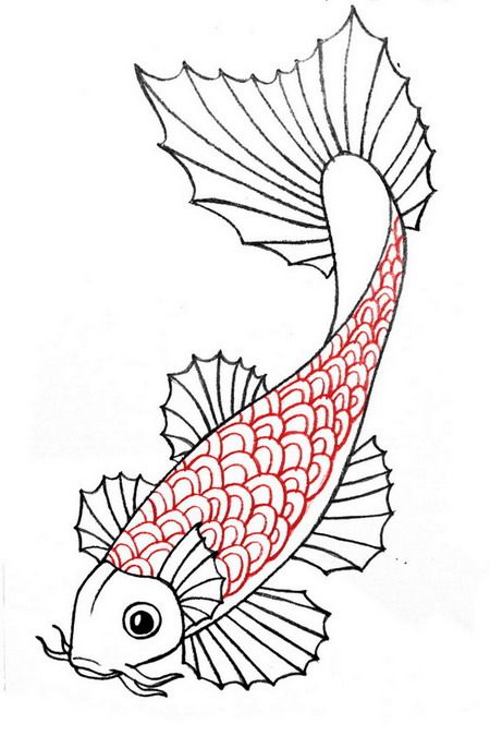 anh-ve-ca-chep-dep_094007683.jpg