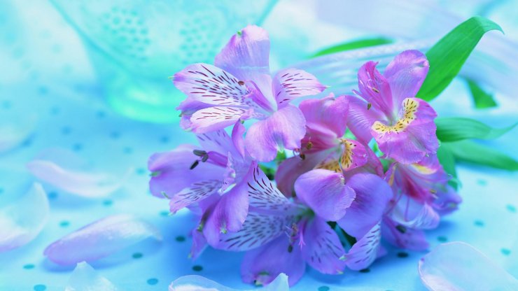 anh-wallpaper-hoa-dep_025507442.jpg