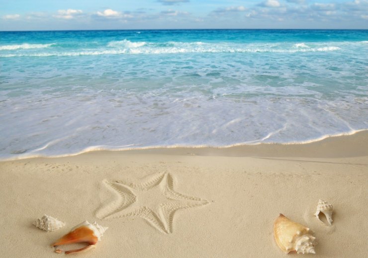 Beach 24.jpg