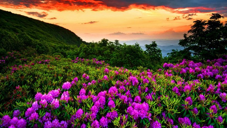 beautiful-nature-spring_053001567.jpg