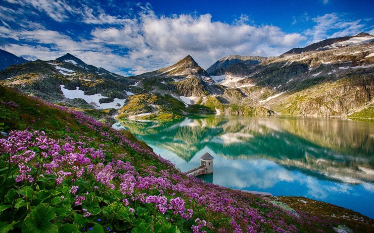 beautiful-spring-mountains-lake-flowers_053002051.jpg