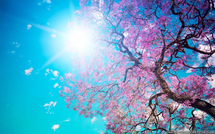 beautiful-spring-nature-images_053002395.jpg