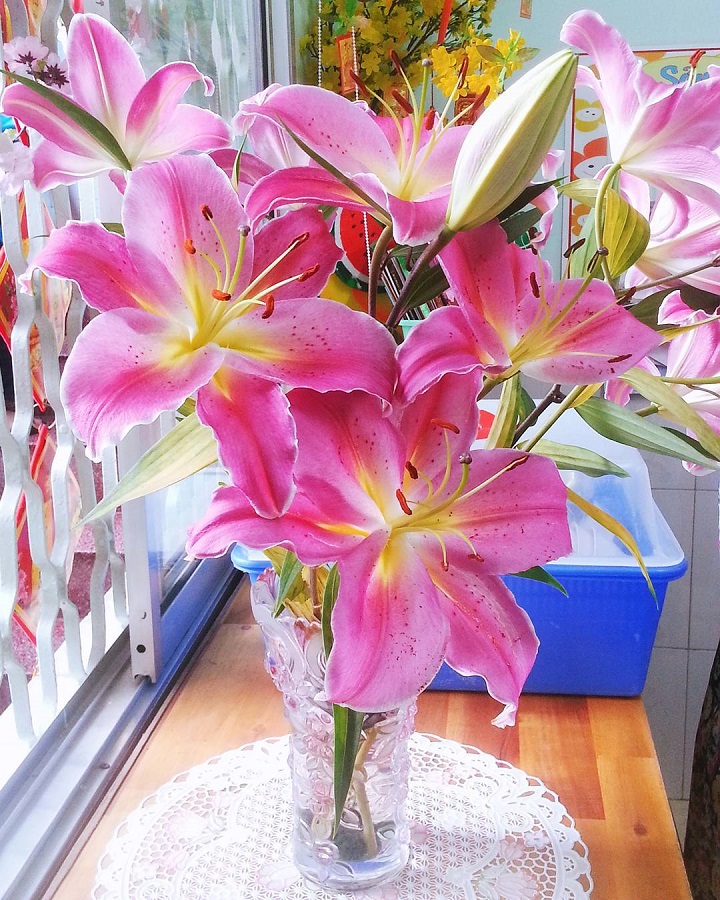 cach-cam-hoa-ly-hinh-anh-dep-nhat_120446523.jpg