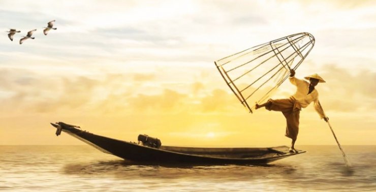 cau-ca-o-song-1200x480-768x393.jpg