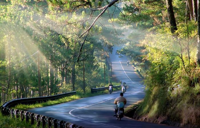 duong-phuot-da-lat-mo-ao-voi-suong-som_110817816.jpg