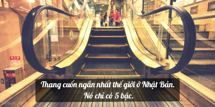 escalator-1280x640.jpg