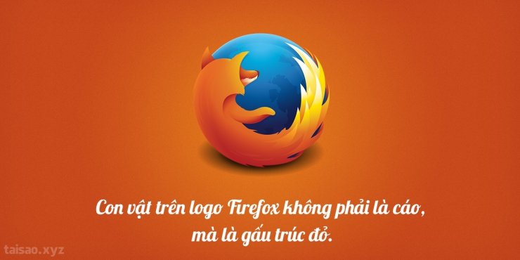 firefox-1280x640.jpg