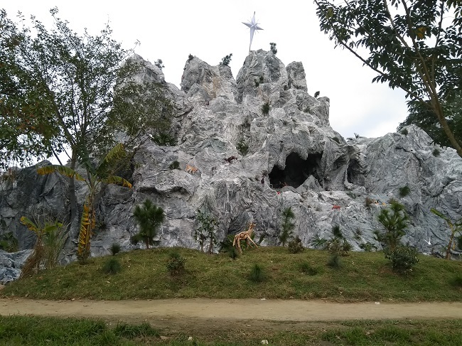 hang-da-giang-sinh-tu-nhien_104121225.jpg
