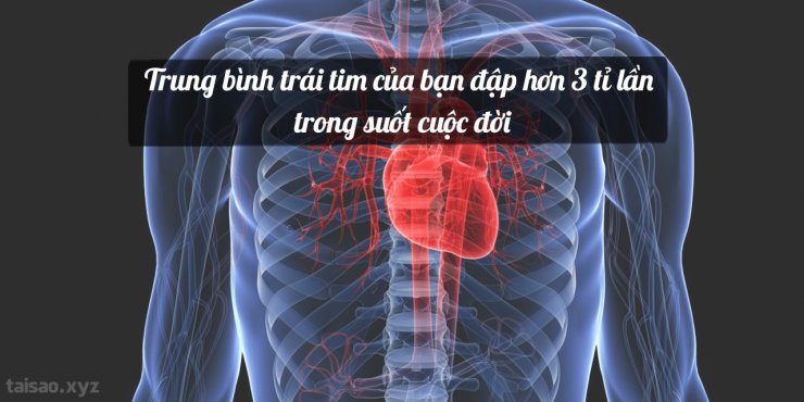 Heartbeat-1280x640.jpg