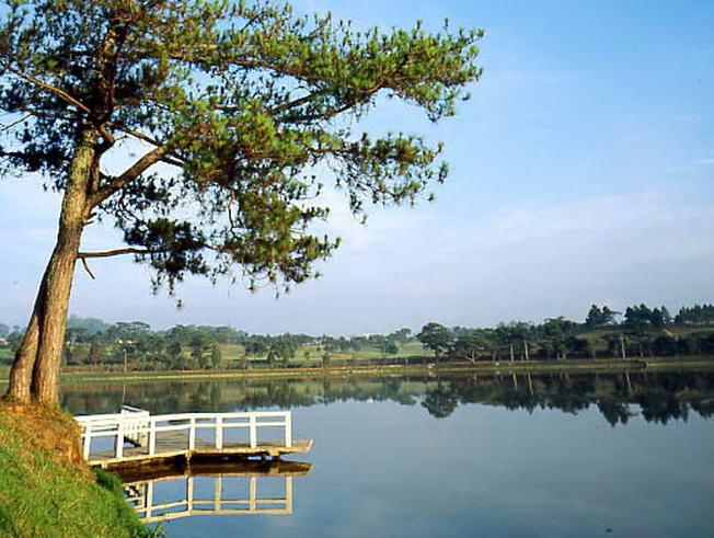 hinh-anh-da-lat-dep-va-tho-mong_085718044.jpg