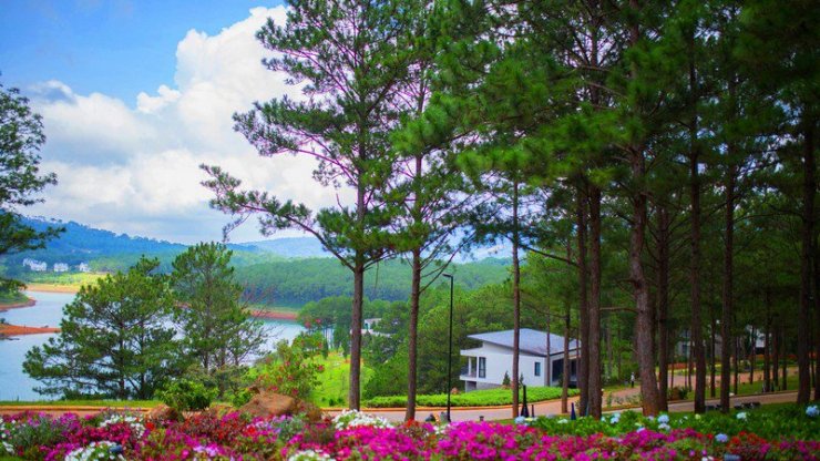 hinh-anh-da-lat-dep_085718169.jpg