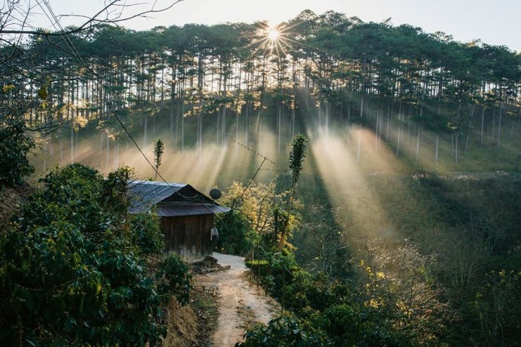 hinh-anh-da-lat-mong-mo_085718309.jpg