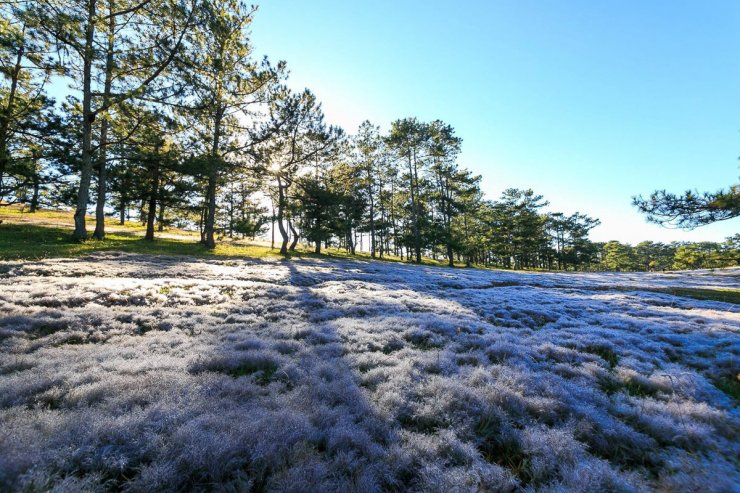 hinh-anh-da-lat-trong-nang-som_085718388.jpg