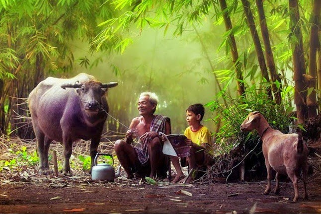 hinh-anh-dam-chat-que-huong-viet-nam_041214362.jpg