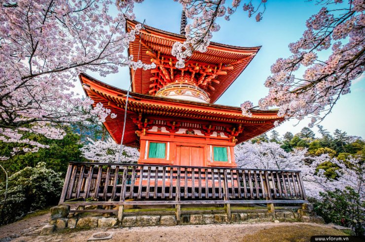 hinh-anh-dep-ve-kyoto-nhat-ban-36.jpg