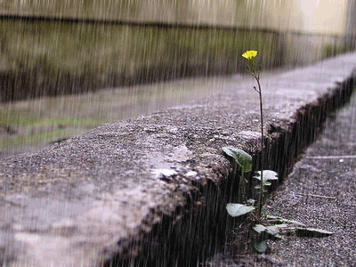 hinh-anh-dong-dep-ve-thien-nhien_052410805.gif