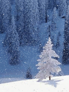 hinh-anh-dong-mua-dong-tuyet-roi-dep_052341783.gif