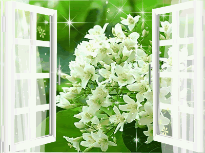 hinh-anh-dong-phong-canh-ngoai-cua-so-dep_052342299.gif