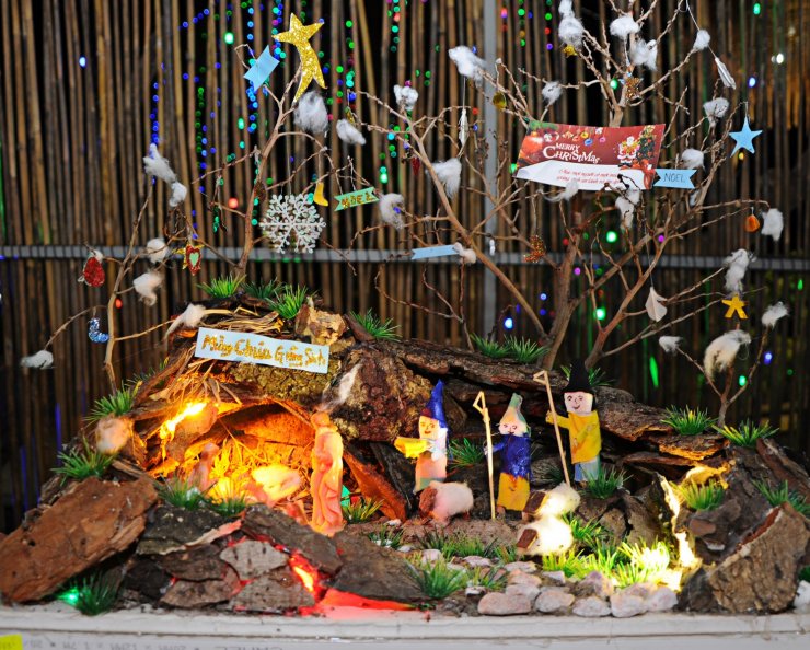 hinh-anh-hang-da-giang-sinh-noel-dep_104121600.jpg