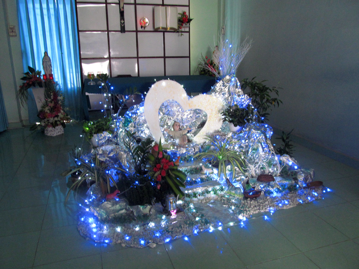 hinh-anh-hang-da-giang-sinh-tu-lam-dep_104121678.jpg