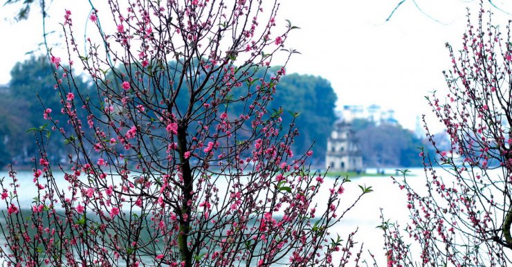 hinh-anh-mua-xuan-ha-noi_053120052.jpg