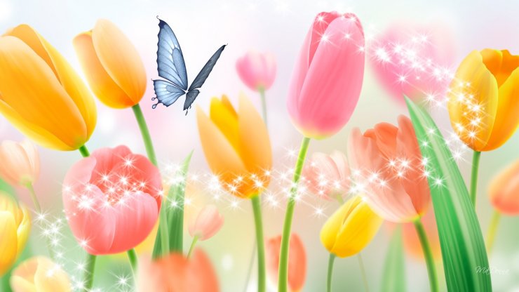 hinh-anh-mua-xuan-nhung-bong-hoa-tulip-dep_053121364.jpg