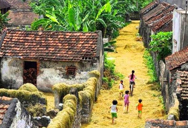 hinh-anh-que-huong-viet-nam-ngay-xua-tuoi-dep_041215065.jpg