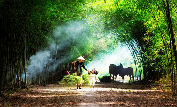 hinh-anh-que-huong-viet-nam-tuoi-tho-cua-moi-nguoi_041215315.jpg