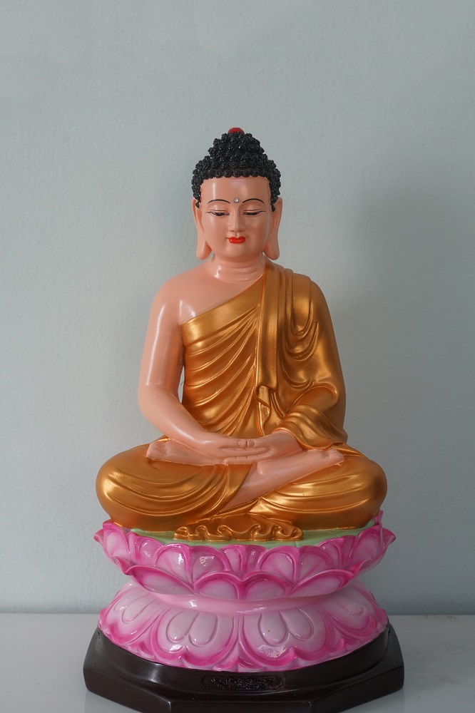 hinh-anh-tuong-phat-thich-ca-dep_063340934.jpg