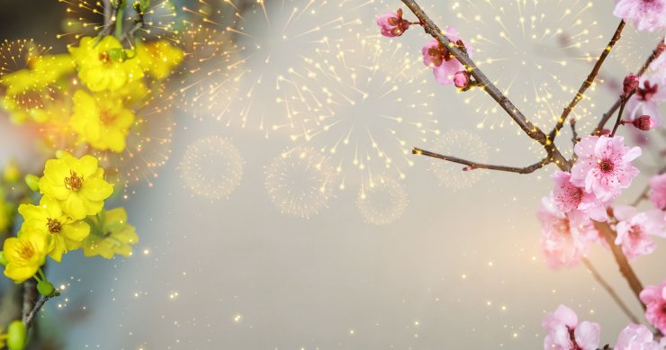 hinh-nen-background-tet_105958509.jpg