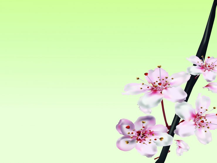 hinh-nen-powerpoint-de-thuong-dep-nhat_023218409.jpg