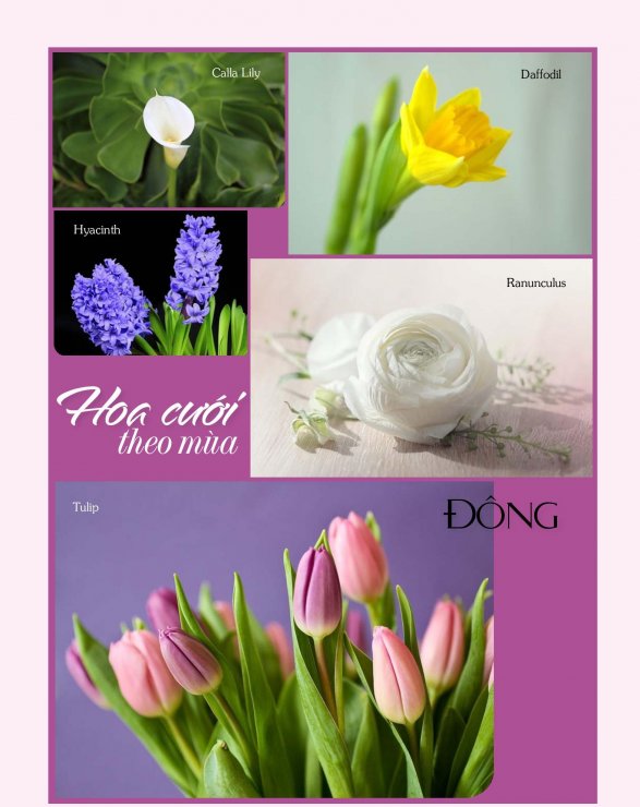 Hoa Cưới Theo Mùa Đông.jpg