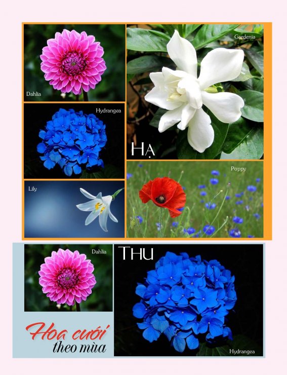 Hoa Cưới Theo Mùa Hạ - Thu.jpg