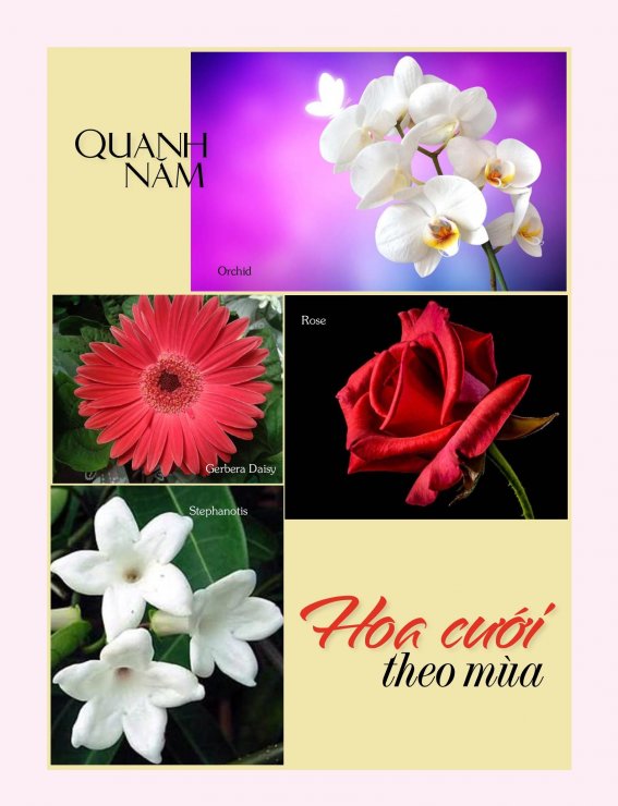 Hoa Cưới Theo Mùa Quanh Năm.jpg