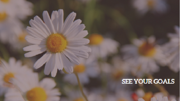 luyen-thi-thu-khoa-see-your-goals-02.png