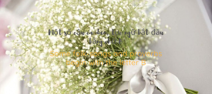 luyen-thi-thu-khoa-vn-16-cau-ca-dao-tuc-ngu-bat-dau-bang-chu-B.png