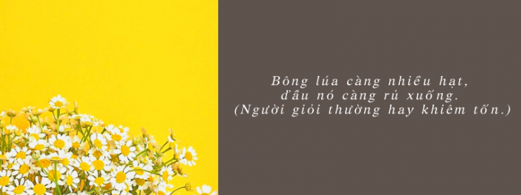 luyen-thi-thu-khoa-vn-20-cau-triet-ly-ve-cuoc-song-tieng-trung-song-ngu-cau-10.png