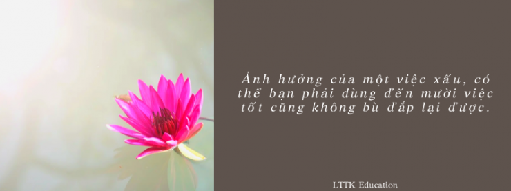 luyen-thi-thu-khoa-vn-20-cau-triet-ly-ve-cuoc-song-tieng-trung-song-ngu-cau-12.png