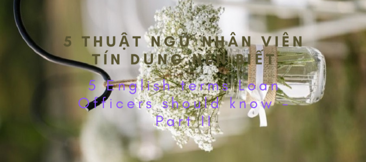 luyen-thi-thu-khoa-vn-5-thuat-ngu-tieng-anh-danh-cho-nhan-vien-tin-dung.png