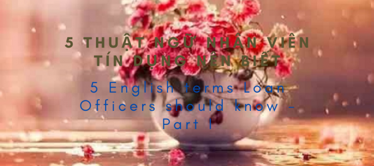 luyen-thi-thu-khoa-vn-5-thuat-ngu-tieng-anh-danh-cho-nhan-vien-tin-dung.png