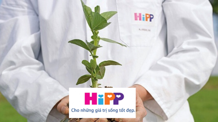 luyen-thi-thu-khoa-vn-bot-an-dam-hipp-bap-sua-va-hoa-qua-milk-cereal-corn-with-fruits-07.png