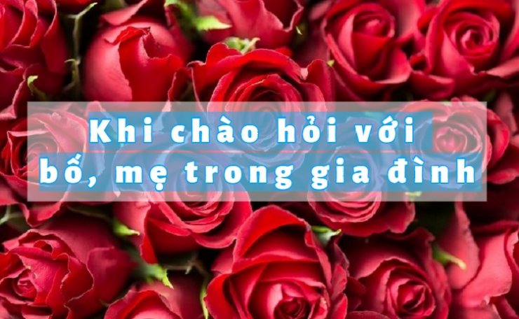 luyen-thi-thu-khoa-vn-cach-noi-khi-chao-hoi-voi-bo-me.jpg