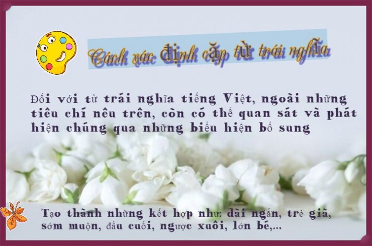 luyen-thi-thu-khoa-vn-Cach-xac-dinh-cap-tu-trai-nghia-01.jpeg