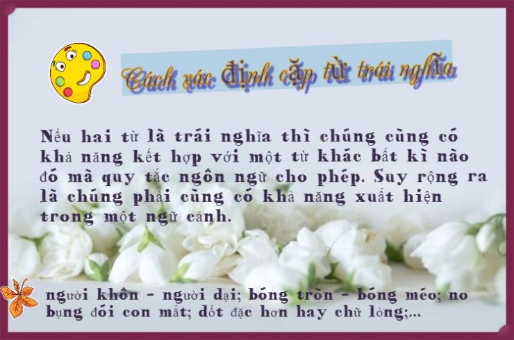 luyen-thi-thu-khoa-vn-Cach-xac-dinh-cap-tu-trai-nghia.jpeg