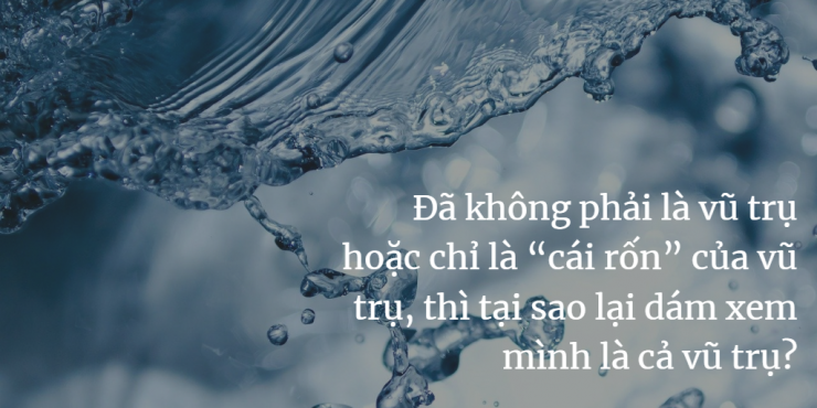luyen-thi-thu-khoa-vn-cai-toi-04.png