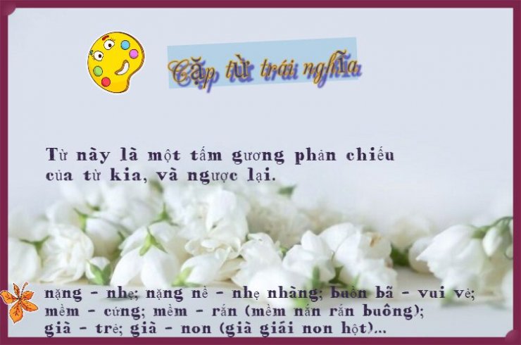 luyen-thi-thu-khoa-vn-Cap-tu-trai-nghia.jpeg