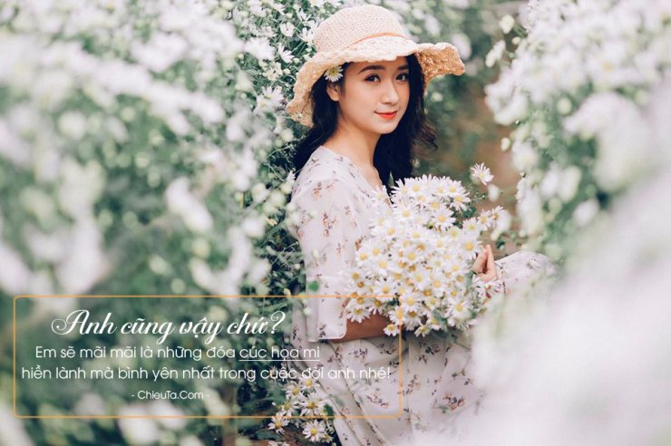 luyen-thi-thu-khoa-vn-co-gai-chup-anh-ben-hoa-cuc-hoa-mi-02.jpg