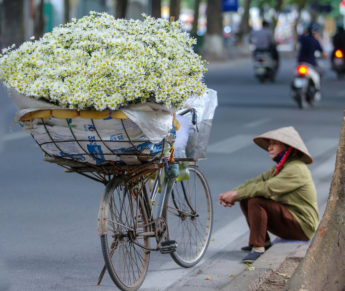 luyen-thi-thu-khoa-vn-co-gai-chup-anh-ben-hoa-cuc-hoa-mi-21.jpg