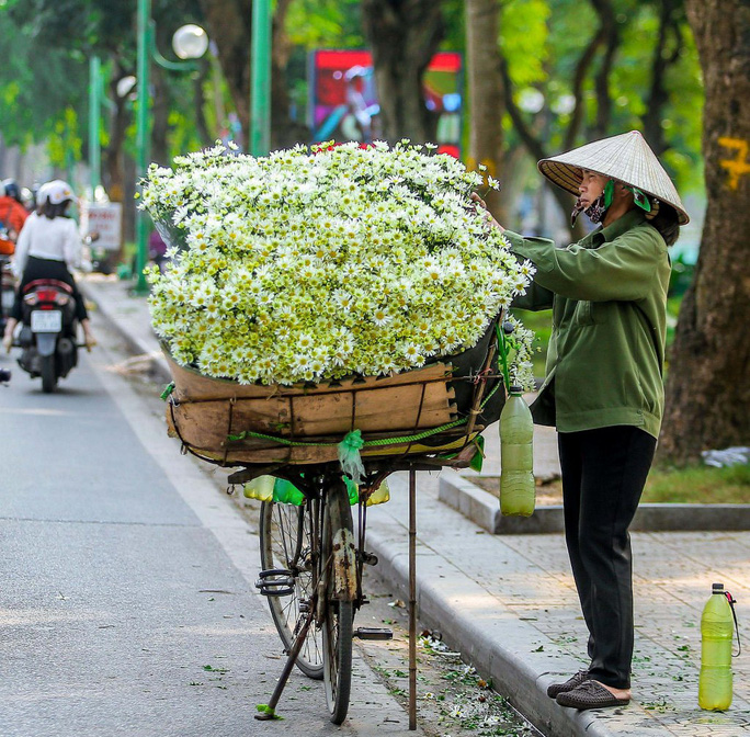 luyen-thi-thu-khoa-vn-co-gai-chup-anh-ben-hoa-cuc-hoa-mi-22.jpg